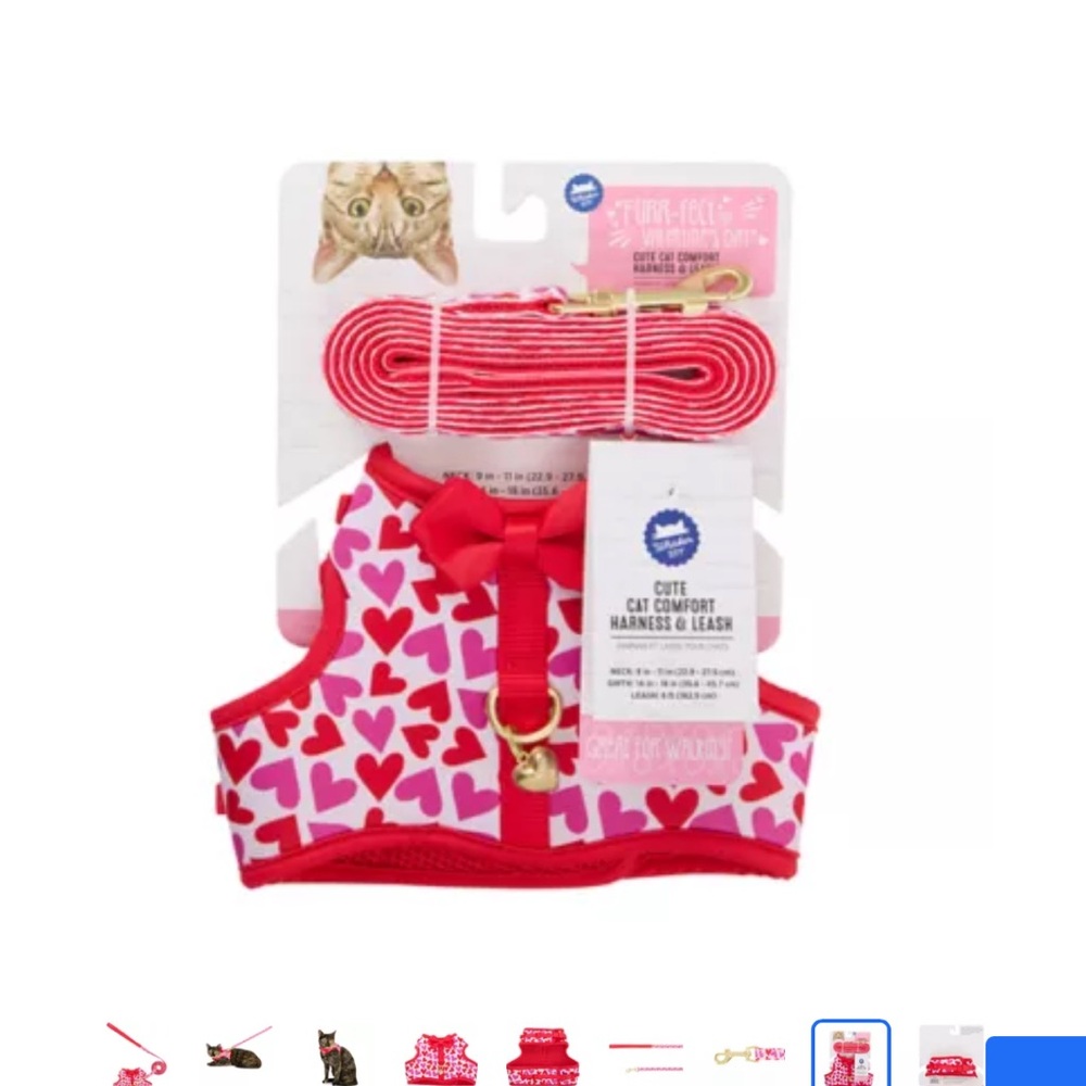 Whisker City® Cat Harness and Leash Hearts